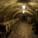 Melnik wine tour wine cellar